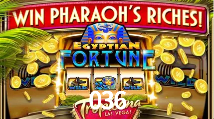 036 Curitiba - Live Status